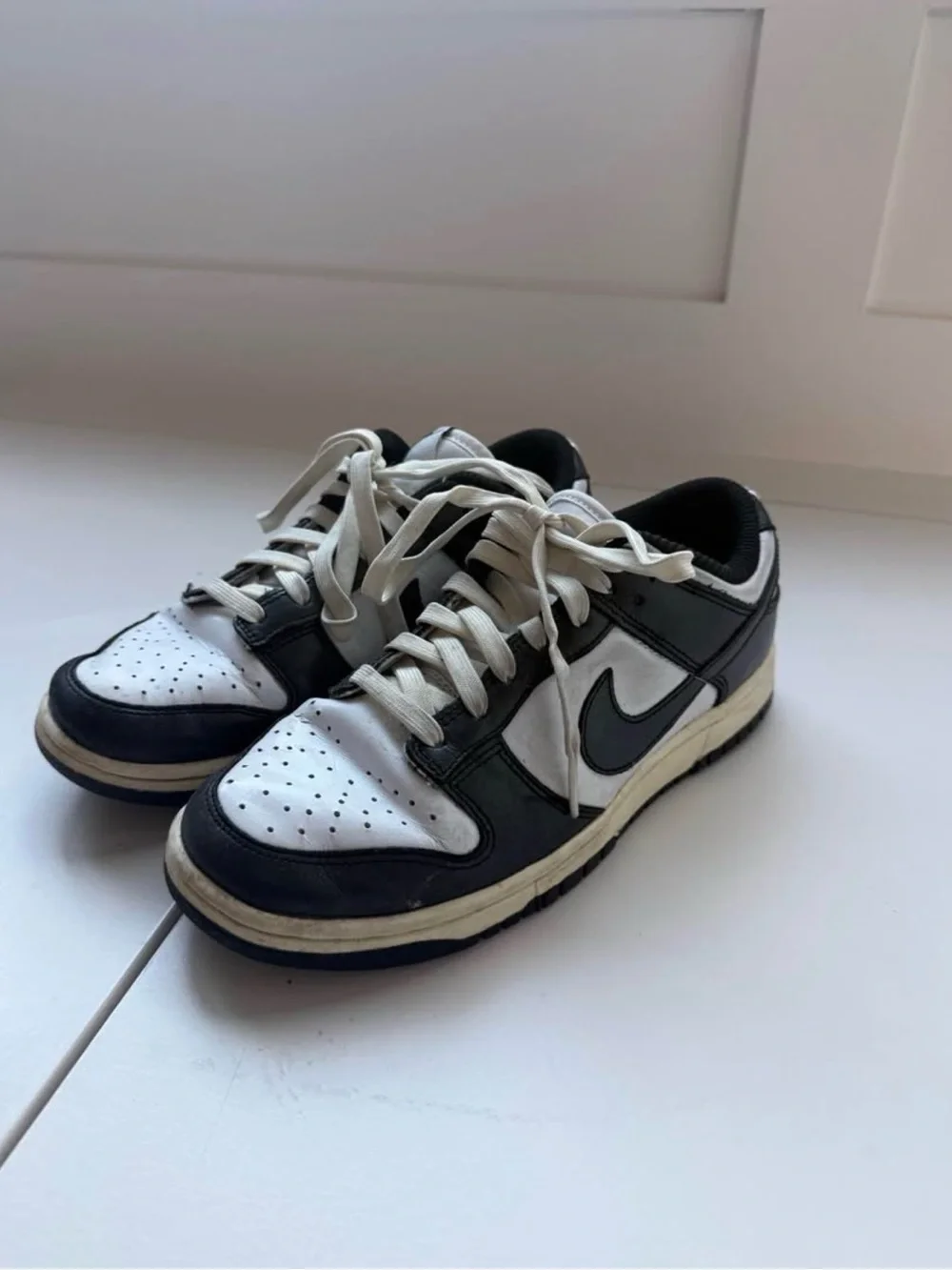 Nike Women’s Dunk Low